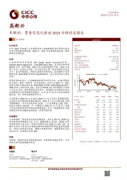 车联网、警务信息化推动2019业绩稳定增长