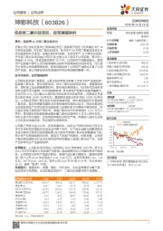 拟投资二氧化钛项目，进军高端涂料