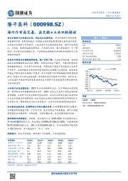 海内外布局完善，杂交稻+玉米双轮驱动