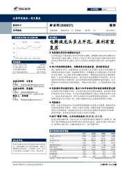 电解液龙头多点开花,盈利有望复苏