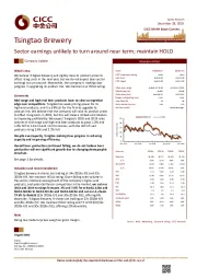 Sector earnings unlikely to turn around near term; maintain HOLD