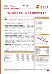 18Q4重拾高增速，19年有望维持快速增长