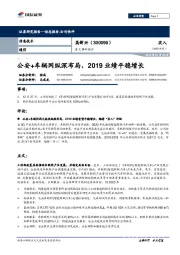 公安+车辆网纵深布局，2019业绩平稳增长