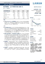 投资稳健，全年销售突破6000亿