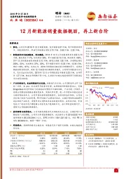 12月新能源销量数据靓丽，再上新台阶