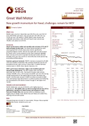 New growth momentum for Haval; challenges remain for WEY