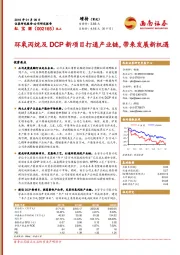 环氧丙烷及DCP新项目打通产业链，带来发展新机遇