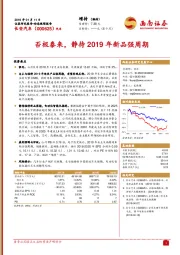 否极泰来，静待2019年新品强周期