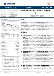 动态点评：碳纤维行业龙头，军用、民用放量，业绩高增长