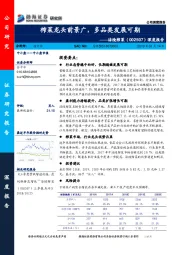 深度报告：榨菜龙头前景广，多品类发展可期