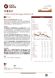 产品降价及检修等致4Q18业绩环比下降