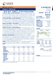 “家用+医用”双线发力,医疗平台型龙头再起航