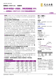 2018年度业绩预告点评:海内外布局进一步强化,净利润激增超30%