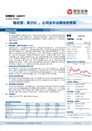 稳经营、高分红,公司全年业绩依然亮眼