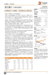 新产能投放助力18年超预期,19国内高增长及出口将成为亮点