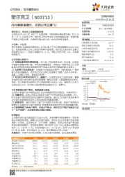 内外兼修高增长，优质公司正腾飞！