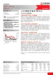 公司2018年盈利78亿元