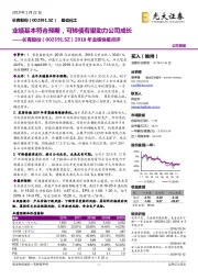 2018年业绩快报点评：业绩基本符合预期，可转债有望助力公司成长