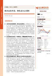 深度研究：新老业务并进，锂电龙头正扬帆