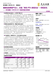 投资价值分析报告:差别化优质资产注入,打造“炼化-PTA-涤纶长丝”一体化巨头