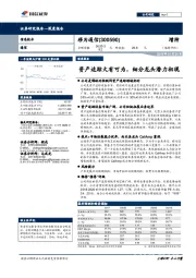 深度报告：资产追踪大有可为，细分龙头潜力初现