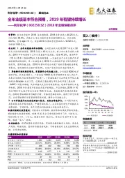 2018年业绩快报点评:全年业绩基本符合预期,2019年有望持续增长