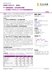 2018年度业绩预告点评:DTY盈利稳定增长,全年业绩符合预期
