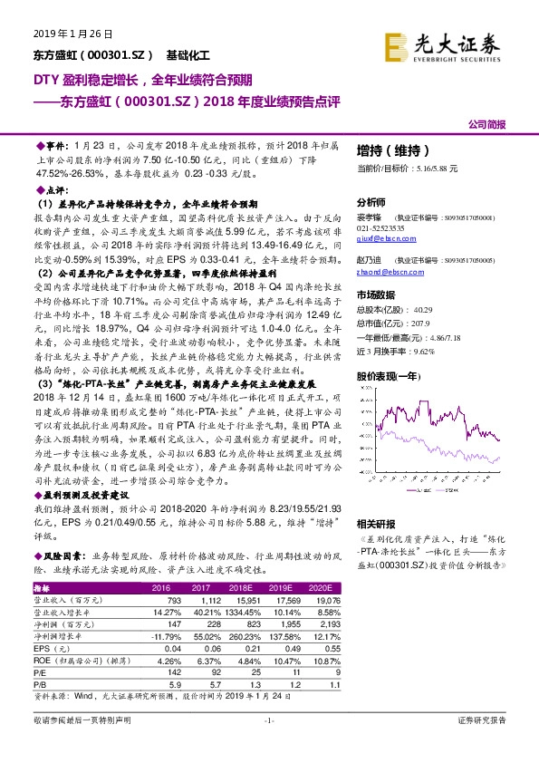 2018年度业绩预告点评：DTY盈利稳定增长，全年业绩符合预期