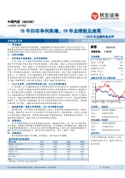 2018年业绩快报点评:18年扣非净利高增,19年业绩能见度高