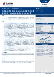 2018年业绩预告点评：业绩基本符合预期，高端珠光粉放量驱动业绩高速增长，高端钛白粉项目致力长期发展