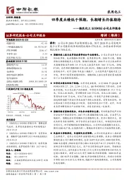 公司点评报告：四季度业绩低于预期，长期增长仍值期待