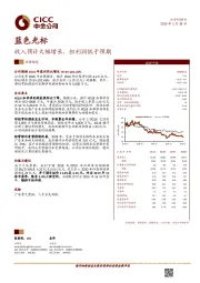 收入预计大幅增长，但利润低于预期