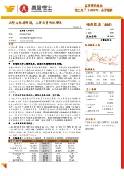 点评报告:业绩大幅超预期,主营业务快速增长