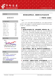 国内珠光材料龙头，募投项目打开成长空间