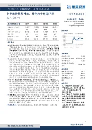 业绩预告点评：扣非维持较高增速，整体处于预期下限