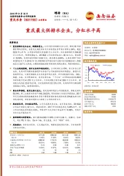 重庆最大供排水企业，分红水平高