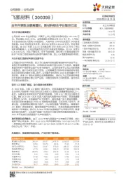 全年并表致业绩高增长，新材料综合平台雏形已成