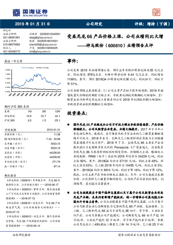 业绩预告点评：受益尼龙66产品价格上涨，公司业绩同比大增