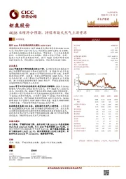 4Q18业绩符合预期，持续布局天然气上游资源