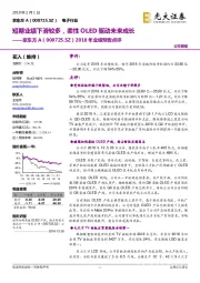2018年业绩预告点评:短期业绩下滑较多,柔性OLED驱动未来成长