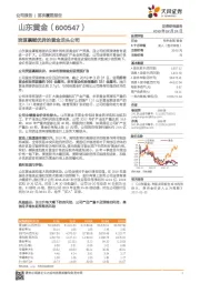 资源禀赋优异的黄金龙头公司