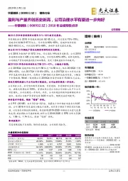 2018年业绩预告点评：盈利与产量齐创历史新高，公司治理水平有望进一步向好