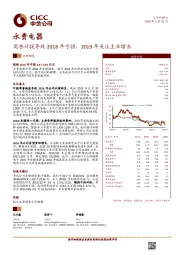商誉计提导致2018年亏损，2019年关注主业增长