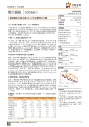 4季度盈利欠佳无碍 2018年业绩同比大增