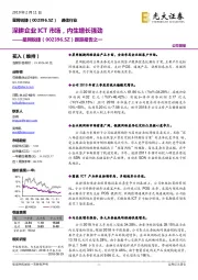 跟踪报告之一:深耕企业ICT市场,内生增长强劲