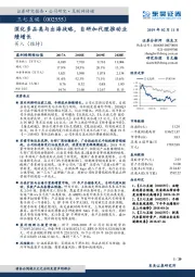 深化多品类与出海战略，自研加代理推动业绩增长