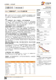 PDH二期顺利投产,2019年业绩可期