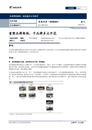 重大事件快评：重塑品牌架构，子品牌多点开花