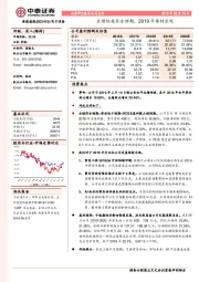 业绩快报符合预期，2019年保持乐观