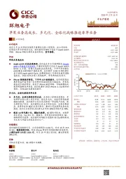 苹果业务高成长，多元化、全球化战略推进非苹业务